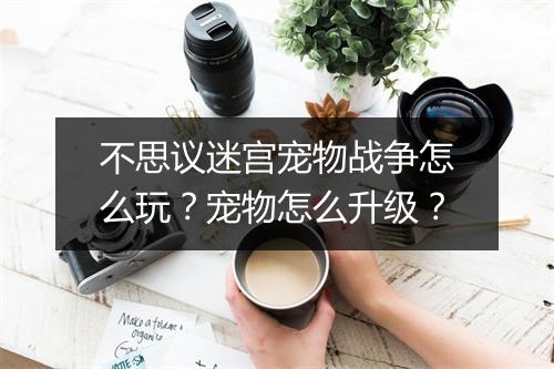 不思议迷宫宠物战争怎么玩？宠物怎么升级？