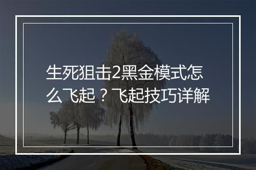生死狙击2黑金模式怎么飞起？飞起技巧详解