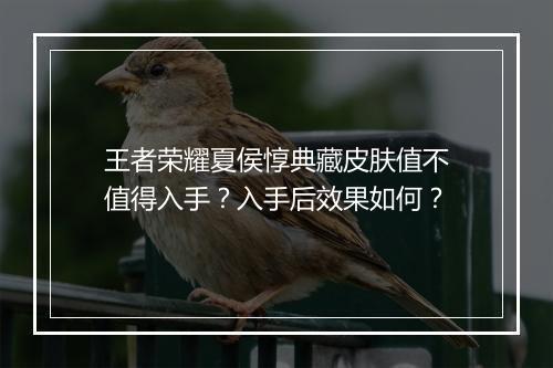 王者荣耀夏侯惇典藏皮肤值不值得入手？入手后效果如何？