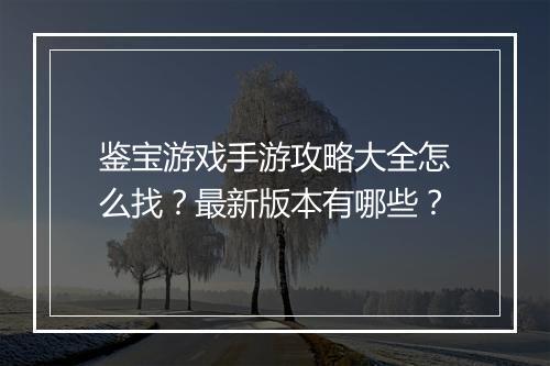 鉴宝游戏手游攻略大全怎么找？最新版本有哪些？