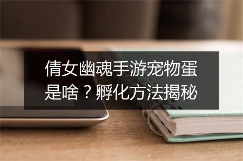 倩女幽魂手游宠物蛋是啥？孵化方法揭秘