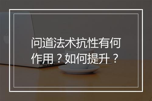 问道法术抗性有何作用?如何提升?