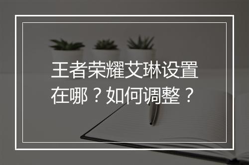 王者荣耀艾琳设置在哪？如何调整？