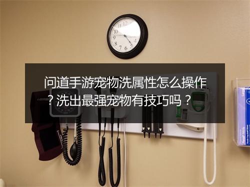 问道手游宠物洗属性怎么操作？洗出最强宠物有技巧吗？