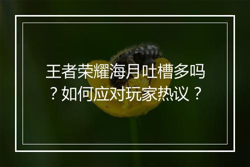 王者荣耀海月吐槽多吗？如何应对玩家热议？
