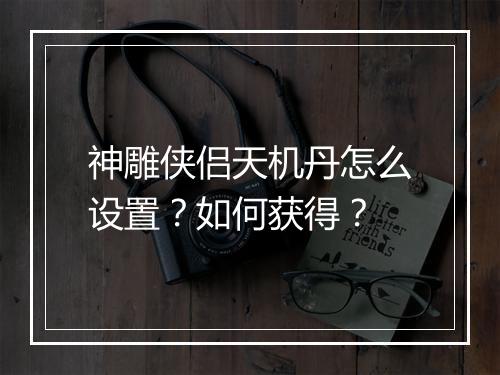 神雕侠侣天机丹怎么设置？如何获得？