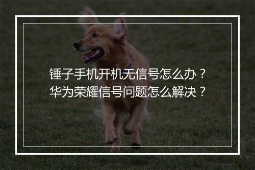 锤子手机开机无信号怎么办?华为荣耀信号问题怎么解决?
