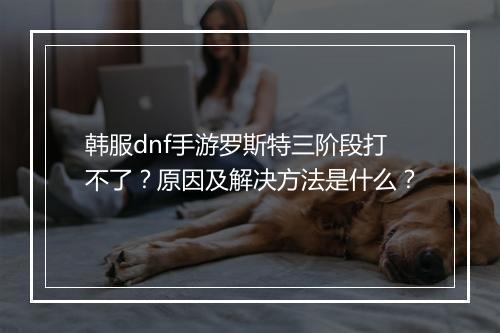 韩服dnf手游罗斯特三阶段打不了？原因及解决方法是什么？