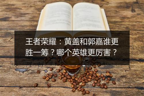 王者荣耀：黄盖和郭嘉谁更胜一筹？哪个英雄更厉害？