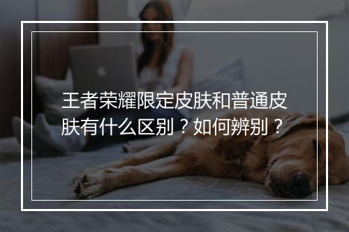 王者荣耀限定皮肤和普通皮肤有什么区别？如何辨别？