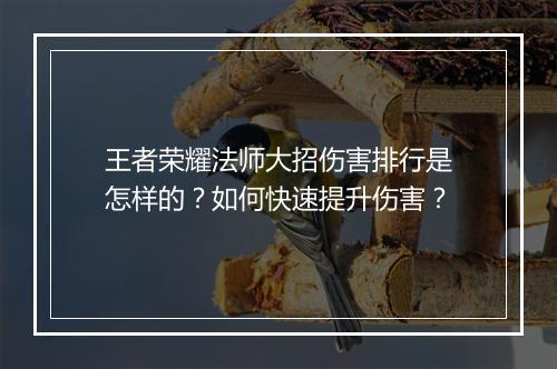 王者荣耀法师大招伤害排行是怎样的？如何快速提升伤害？