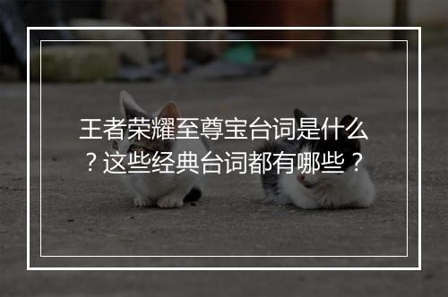 王者荣耀至尊宝台词是什么？这些经典台词都有哪些？