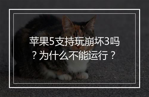 苹果5支持玩崩坏3吗？为什么不能运行？