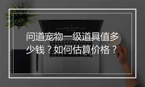 问道宠物一级道具值多少钱？如何估算价格？