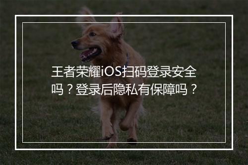 王者荣耀iOS扫码登录安全吗？登录后隐私有保障吗？