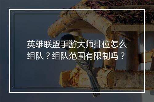 英雄联盟手游大师排位怎么组队？组队范围有限制吗？