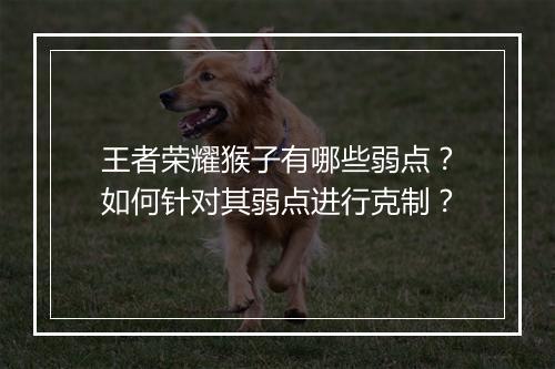 王者荣耀猴子有哪些弱点？如何针对其弱点进行克制？