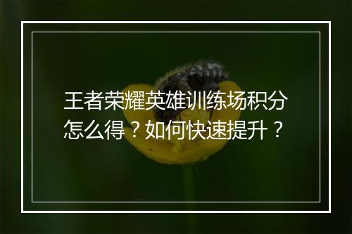 王者荣耀英雄训练场积分怎么得?如何快速提升?