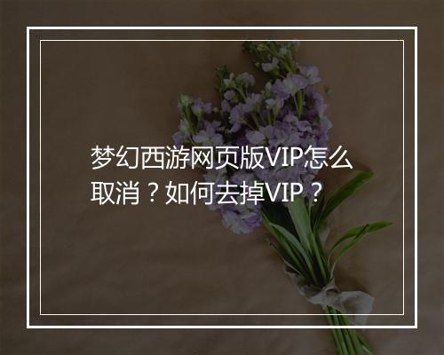 梦幻西游网页版VIP怎么取消？如何去掉VIP？