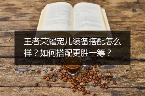 王者荣耀宠儿装备搭配怎么样？如何搭配更胜一筹？