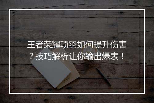 王者荣耀项羽如何提升伤害？技巧解析让你输出爆表！
