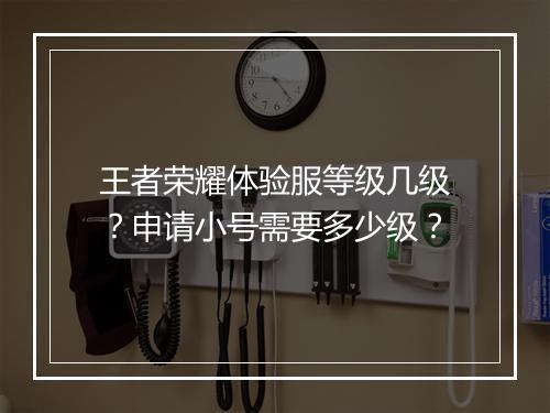 王者荣耀体验服等级几级？申请小号需要多少级？