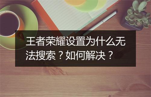 王者荣耀设置为什么无法搜索？如何解决？