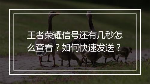 王者荣耀信号还有几秒怎么查看?如何快速发送?