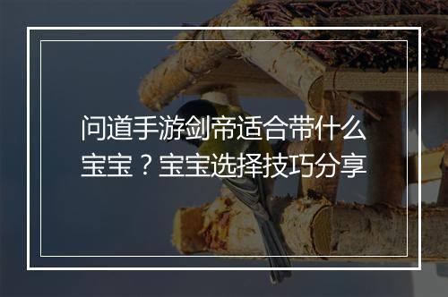 问道手游剑帝适合带什么宝宝?宝宝选择技巧分享