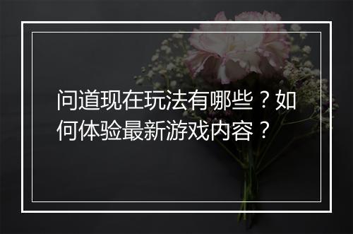 问道现在玩法有哪些？如何体验最新游戏内容？