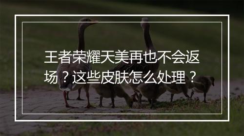 王者荣耀天美再也不会返场？这些皮肤怎么处理？