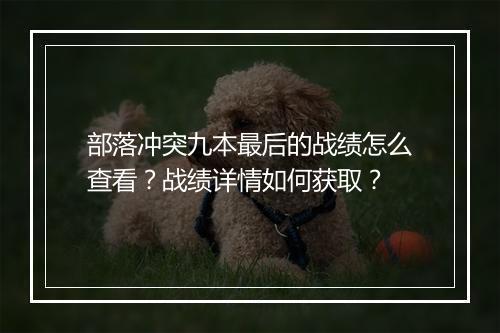部落冲突九本最后的战绩怎么查看？战绩详情如何获取？
