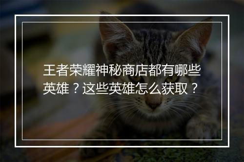 王者荣耀神秘商店都有哪些英雄？这些英雄怎么获取？