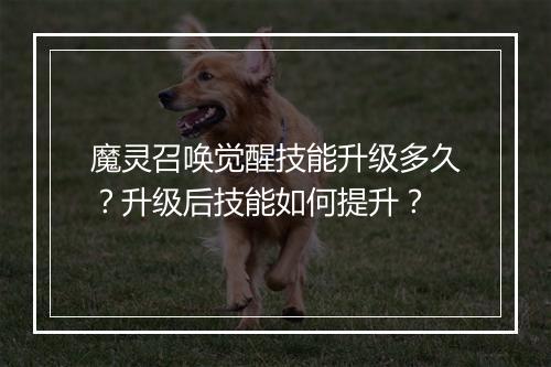 魔灵召唤觉醒技能升级多久？升级后技能如何提升？