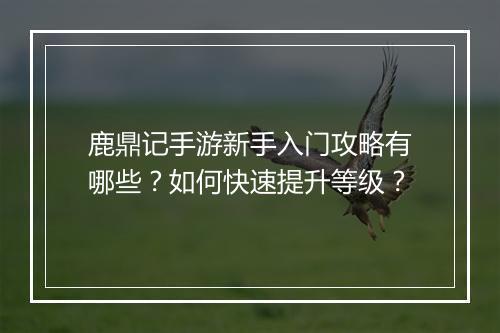 鹿鼎记手游新手入门攻略有哪些？如何快速提升等级？