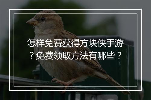 怎样免费获得方块侠手游？免费领取方法有哪些？