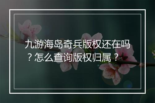 九游海岛奇兵版权还在吗?怎么查询版权归属?