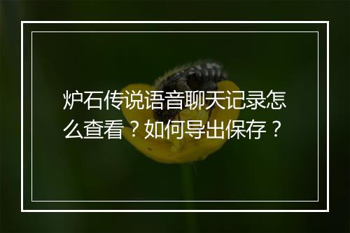 炉石传说语音聊天记录怎么查看?如何导出保存?
