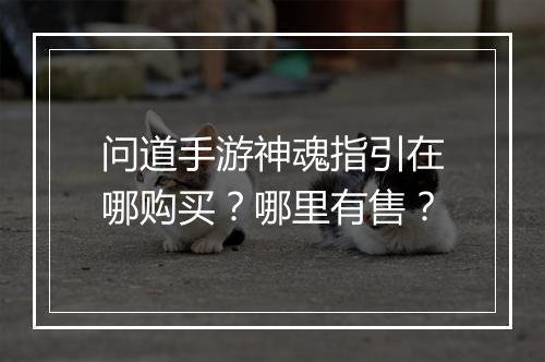 问道手游神魂指引在哪购买?哪里有售?