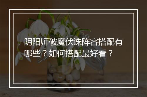 阴阳师破魔伏诛阵容搭配有哪些？如何搭配最好看？