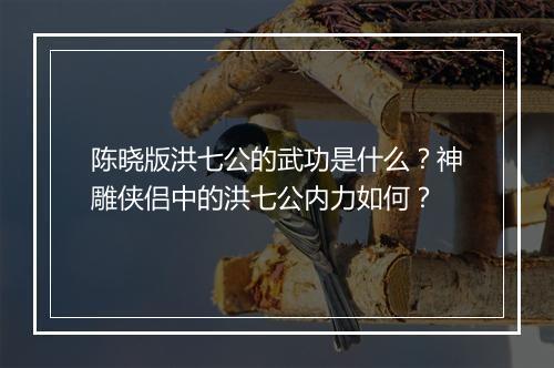 陈晓版洪七公的武功是什么？神雕侠侣中的洪七公内力如何？