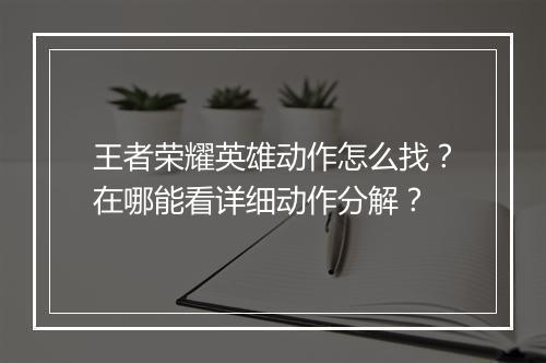 王者荣耀英雄动作怎么找？在哪能看详细动作分解？