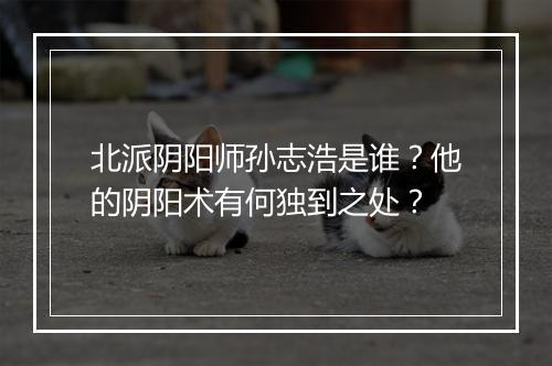 北派阴阳师孙志浩是谁？他的阴阳术有何独到之处？