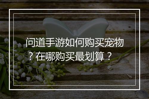 问道手游如何购买宠物?在哪购买最划算?