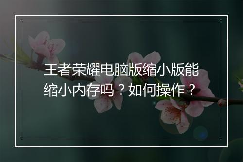 王者荣耀电脑版缩小版能缩小内存吗?如何操作?