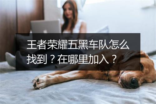 王者荣耀五黑车队怎么找到？在哪里加入？