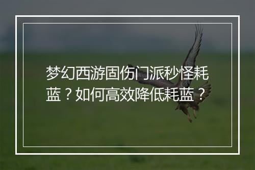 梦幻西游固伤门派秒怪耗蓝？如何高效降低耗蓝？