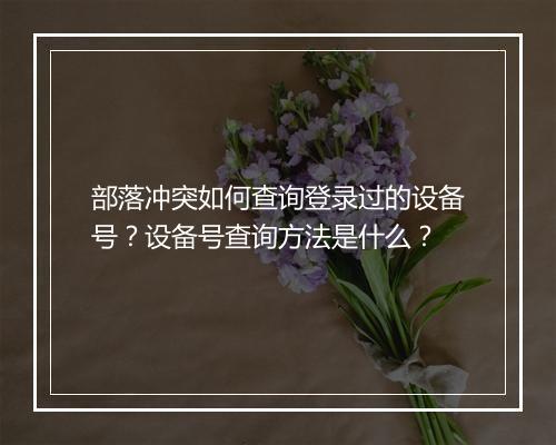 部落冲突如何查询登录过的设备号?设备号查询方法是什么?