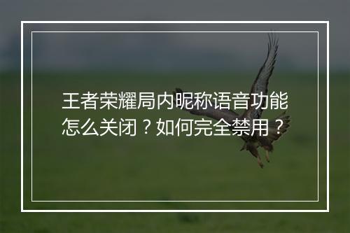 王者荣耀局内昵称语音功能怎么关闭?如何完全禁用?