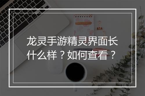 龙灵手游精灵界面长什么样？如何查看？